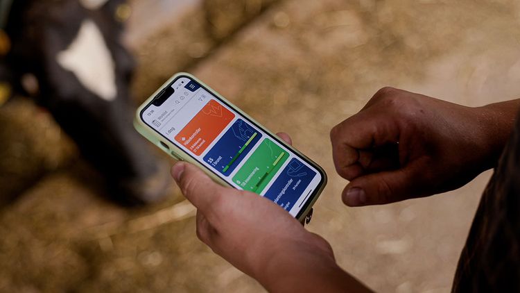 Person på lantgård använder mobilapp för att övervaka kor